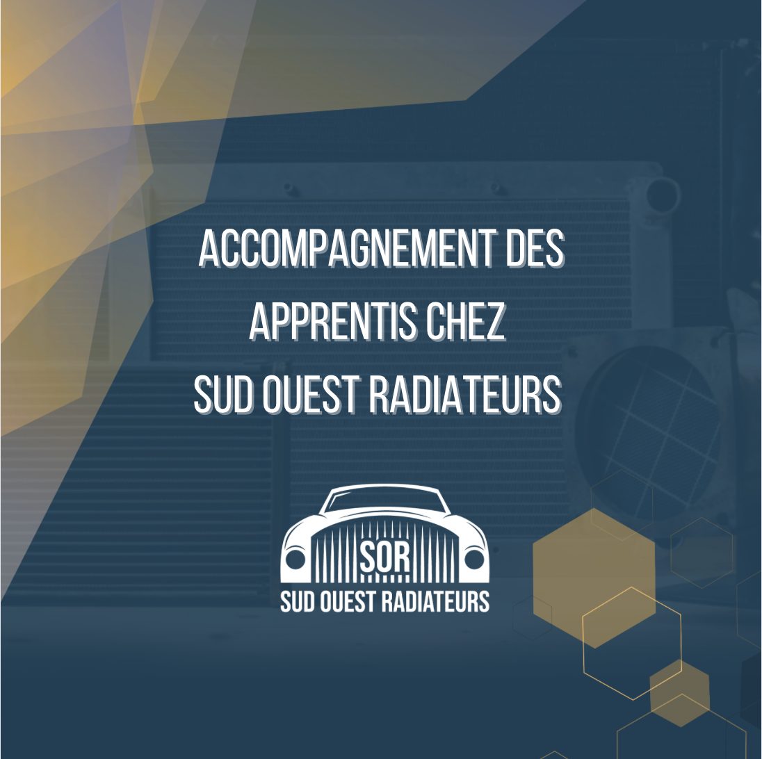 You are currently viewing Accompagnement des apprentis : Notre engagement